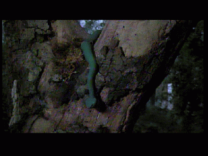 doc0242.gif